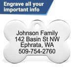 GoTags Stainless Steel Bone Dog Tag with Color Outline and Paw Print, Personalized Pet ID Tag for Dogs and Cats, Custom Engraving with up to 5 Lines of Text on Both Sides (Blue, Regular)