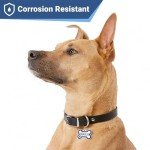 GoTags Stainless Steel Bone Dog Tag with Color Outline and Paw Print, Personalized Pet ID Tag for Dogs and Cats, Custom Engraving with up to 5 Lines of Text on Both Sides (Blue, Regular)