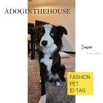 316 Surgical Grade Stainless Steel Personalized Dog & Cat ID Tags - Made with Three Thousand Love for Our Fur-Baby - Original Funny Shapes Heart, Engraved Name or Text for Pet Collar Accessories