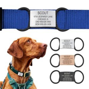 Personalized Dog Tags by ROAD iD | Silent & Durable | Jingle-Free Slide-On Design | Stainless Steel Name Tag Fits Any Collar | Multiple Colors & Sizes for Your Pet's Unique Style