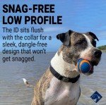 Personalized Dog Tags by ROAD iD | Silent & Durable | Jingle-Free Slide-On Design | Stainless Steel Name Tag Fits Any Collar | Multiple Colors & Sizes for Your Pet's Unique Style