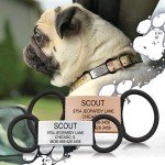 Personalized Dog Tags by ROAD iD | Silent & Durable | Jingle-Free Slide-On Design | Stainless Steel Name Tag Fits Any Collar | Multiple Colors & Sizes for Your Pet's Unique Style