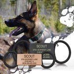 Personalized Dog Tags by ROAD iD | Silent & Durable | Jingle-Free Slide-On Design | Stainless Steel Name Tag Fits Any Collar | Multiple Colors & Sizes for Your Pet's Unique Style