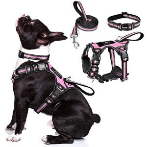 WINSEE Pet Harness Collar and Leash Set, All-in-one Reflective Dog Harness No Pull with Adjustable Buckles for Puppies, Small, Medium, Large, and Extra-Large Dogs (Medium, Pink)
