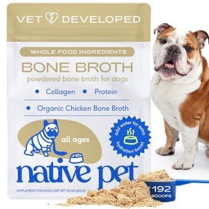 Native Pet Bone Broth for Dogs and Cats - Chicken Bone Broth Powder Dog Food Toppers for Picky Eaters - Provides Extra Nutrition for Joint Strength, Immune Support & Heart Health - 192 Scoops