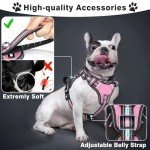 WINSEE Pet Harness Collar and Leash Set, All-in-one Reflective Dog Harness No Pull with Adjustable Buckles for Puppies, Small, Medium, Large, and Extra-Large Dogs (Medium, Pink)