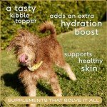 Native Pet Bone Broth for Dogs and Cats - Chicken Bone Broth Powder Dog Food Toppers for Picky Eaters - Provides Extra Nutrition for Joint Strength, Immune Support & Heart Health - 192 Scoops