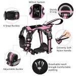 WINSEE Pet Harness Collar and Leash Set, All-in-one Reflective Dog Harness No Pull with Adjustable Buckles for Puppies, Small, Medium, Large, and Extra-Large Dogs (Medium, Pink)