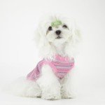 Elevate Your Pet's Comfort and Fashion: Premium 100% Cotton Rib Dog Shirt Vest for Small Breeds Like Chihuahuas, Yorkies, and Puppies .Year-Round Style with Tank-Style Puppy Attire Pink X-Small