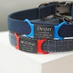 Anavia Slide On Silent Pet ID Tags, S/M/L/XL Personalized Black Stainless Steel Colored Silicone Cat Dog Name Tag, Customized Engraved Nameplate, Quiet Chew-Proof Pet Collar Tag (Pink, Large)