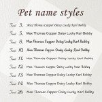 Anavia Slide On Silent Pet ID Tags, S/M/L/XL Personalized Black Stainless Steel Colored Silicone Cat Dog Name Tag, Customized Engraved Nameplate, Quiet Chew-Proof Pet Collar Tag (Pink, Large)