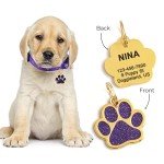 Paw Shape Dog ID Tag Stainless Steel Custom Laser Engraved, Cute Bling Glitter Pet Name Tags Personalized with Durable Engraving (Gold Sparkly Paw)