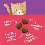 Wellness Kittles Crunchy Natural Grain Free Cat Treats, Salmon & Cranberries Recipe, All Life Stages, 6-Ounce Bag