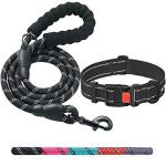 Ladoogo Heavy Duty Dog Leash - Comfortable Padded Handle, 5 ft Long - Dog Leashes for Small Medium Large Dogs (Leash+Collar M Neck 16"-20", Black)