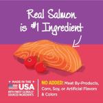 Wellness Kittles Crunchy Natural Grain Free Cat Treats, Salmon & Cranberries Recipe, All Life Stages, 6-Ounce Bag