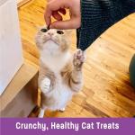 Wellness Kittles Crunchy Natural Grain Free Cat Treats, Salmon & Cranberries Recipe, All Life Stages, 6-Ounce Bag