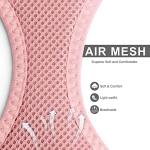 Fida Cat Harness and Leash Set for Walking Kitten and Puppy, Escape Proof Kitten Harness with Breathable Lightweight Soft Mesh, Adjustable Reflective Step-in Design. (XXXS, Pink)