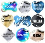 Dr. Fremont's Stainless Steel Custom Pet ID Personalized Engraved Identification Cat and Dog Tags with Custom Text, Many Shapes Including Bone, Heart, Circle (Classic Stainless Steel, Large Bone)