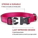 Reflective Dog Collar with Buckle Adjustable Safety Nylon Collars for Small Medium Large Dogs, Pink S