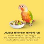 Kaytee Fiesta Conure Food, Nutritious and Fun Blend, Supports Skin, Feather, Digestion, Brain and Heart Health, 4.5 pounds