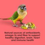 Kaytee Fiesta Conure Food, Nutritious and Fun Blend, Supports Skin, Feather, Digestion, Brain and Heart Health, 4.5 pounds