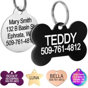 GoTags Stainless Steel Pet ID BowTie Tag