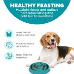 Outward Hound Slow Feeder Dog Bowl - Turquoise