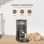 PETULTRA Automatic Cat Feeder: 4L Timed Cats Food Dispenser Programmable 1-6 Meal for Cat and Small Medium Dog- Auto Pet Feeder Easy to Set Up Dual Power Supply with Desiccant Bag| Detachable Washable