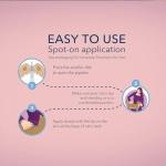 Catego for Cats Flea and Tick Treatment & Prevention (Over 1.5 lbs) 6-Month Supply