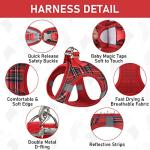 GAMUDA Small Dog Harness Collar and Leash Set, Step in No Chock No Pull Soft Mesh Adjustable Dog Vest Harnesses Plaid Reflective for Dogs Puppy Cats Kitten Rabbit (Red, S)