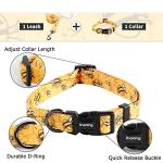 Ihoming Dog Collar and Leash Set for Daily Outdoor Walking Running Training, Bee Design for Small Boys Girls Dogs Cats Pets, S-Up to 20LBS