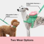 VETRESKA Flora Dog Harness, Leash and Collar Set, No Pull Dog Vest Harness for Walking and Training, Adjustable, Easy Control and Soft Padded Pet Harness and Backpack for Small Medium Large Dogs, M