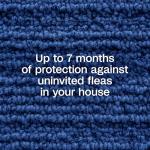 Adams Flea & Tick Home Spray with Precor, Kills Fleas, Flea Eggs, Flea Larvae, Bed Bugs, Ticks, Ants, Cockroaches, Spiders, Mosquitoes and Many Other Listed Nuisance Pests in The Home, 24 Fl Oz