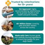 1TDC WorksSoWell Dual Action Joint Supplement for Dogs & Cats - Hip and Joint Supplement for Large Breed & Small Breed - Also Great for Oral Health - Muscle & Stamina Recovery & Arthritis - 120ct