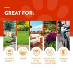 NaturVet Off Limits Pet Training Spray for Dogs & Cats – Deters Pets from Outdoor Areas – Includes Herbal Extracts – Non-Staining Sprays for Training Pets – 32 Fl. Oz.