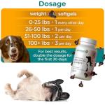 1TDC WorksSoWell Dual Action Joint Supplement for Dogs & Cats - Hip and Joint Supplement for Large Breed & Small Breed - Also Great for Oral Health - Muscle & Stamina Recovery & Arthritis - 120ct