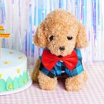 Tongcloud 3 Pack Plaid Puppy Cat Shirt Cute Cat Shirt Dog Shirt for Extra Small Dogs Cats Birthday Party and Holiday Photo