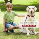 Stylish and Elegant Dog Collar,Adjustable Metal Belt Buckle, Durable High Density Fabric for Comfortable Pet Dog Collar and Dog Leash Set Packing for Puppy Small Dogs