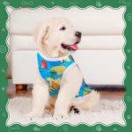 Saintrygo 10 Pcs Lovely Puppy Shirts Print Dog Clothes Breathable Summer Pet Cartoon Dog Shirt Clothes Sweatshirt for Puppy Cartoon Shirt Sweatshirt to Cat(Medium)