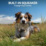 ALL FOR PAWS Classic Squirrel Pet Toys, Small