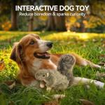 ALL FOR PAWS Classic Squirrel Pet Toys, Small