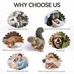 ALL FOR PAWS Classic Squirrel Pet Toys, Small