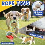 PatsFran Puppy Toys for Teething, 9 Pack Interactive Dog Toys for Small Dogs, Puppy Chew Toys for Boredom with Rope Toys, Treat Ball and Cute Squeaky Toys