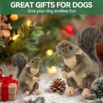 ALL FOR PAWS Classic Squirrel Pet Toys, Small