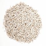 Wagner's 57075 Safflower Seed Wild Bird Food, 5 Pound (Pack of 1)