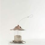 Wagner's 57075 Safflower Seed Wild Bird Food, 5 Pound (Pack of 1)