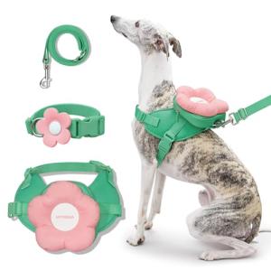 VETRESKA Flora Dog Harness, Leash and Collar Set, No Pull Dog Vest Harness for Walking and Training, Adjustable, Easy Control and Soft Padded Pet Harness and Backpack for Small Medium Large Dogs, M