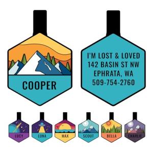 GoTags Silent Dog Tag, Personalized Engraved Hexagon Silicone Dog and Cat Name Pet ID Tags, Soundless No More Jingling Dog Tags (Mountain Orange)