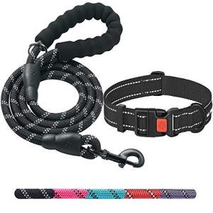 Ladoogo Heavy Duty Dog Leash - Comfortable Padded Handle, 5 ft Long - Dog Leashes for Small Medium Large Dogs (Leash+Collar M Neck 16"-20", Black)