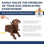 Potty Training Spray for Dogs,Puppy Potty Training Spray,Address Canine Inappropriate Elimination Habits | Proven HousebreakiHousebreng Methods for Indoor & Outdoor Environments 3.51 Oz